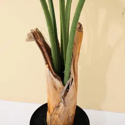 Ekhasa Green 1 Pieces Artificial Plant With Pot image 5