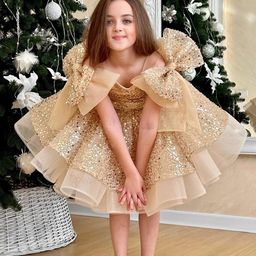 First Little Smile Embroidered Net Balloon Dress-picture-1