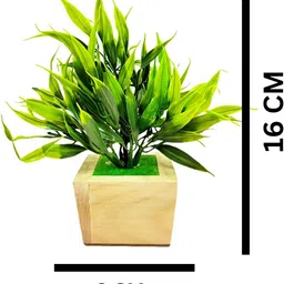 Dekorly Green Artificial Flowers & Plants With Pot image 5