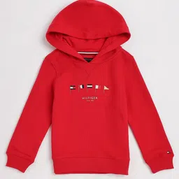 Tommy Hilfiger Europe Boys Embroidered Hooded Sweatshirt-picture-39