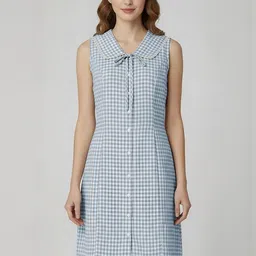 DressBerry Checked Dress-image-84