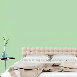 INDIAN ROYALS Light Green Plain Self-Adhesive Wallpaper-image-2
