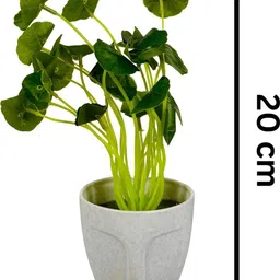 Dekorly Grey & Green 2 Pieces Artificial Plants With Pot image 4