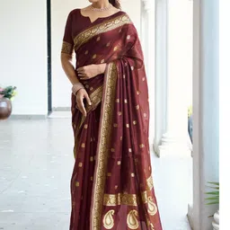 SANISA Paisley Zari Handloom Saree-image-44