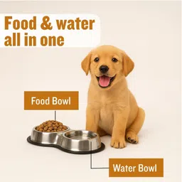 Get Plumm Stainless Steel Pet Bowls for Dogs | Slow Feeder for Dogs & Cat | Stainless Steel Pet Bowl image 5