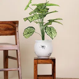 FOLIYAJ Green 1 Pieces Alstroemeria Money Artificial Plant-image-93