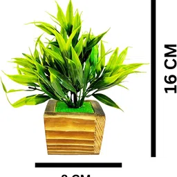 Dekorly Green Artificial Flowers & Plants With Pot image 2