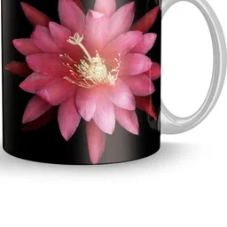 Gift4You Ceramic Cup-picture-11