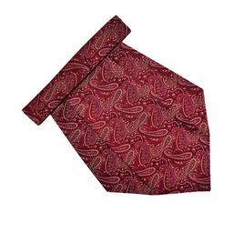 VOICI Men Woven Paisley Design Cravats-picture-12