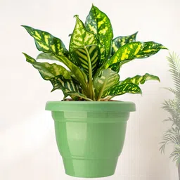 Kuber Industries 8-Pcs Green & Black Durable Planters image 2