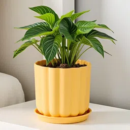LASAKI Flona Yellow Ceramic Handmade Planter With Plate image 3