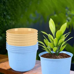 Kuber Industries 10Pcs Blue & Beige Textured Planters With Plate image 1