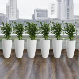 go hooked 14 Inch Tower Pots for Indoor & Outdoor Plants-picture-0