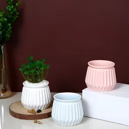 TAYHAA Pastel Elegance Pink & White 3 Pieces Ribbed Ceramic Planters-picture-37