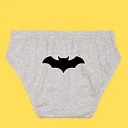 NUSYL Boys Pack Of 5 Champion Crew Printed Pure Cotton Basic Briefs NUBCBRFPO5.0072 image 2