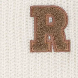 Pantaloons Junior Boys Colourblocked Pullover with Applique Detail image 4