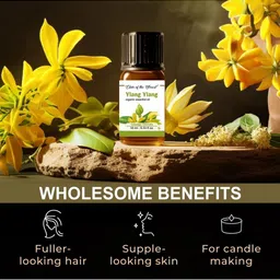 ELIXIR OF THE FOREST Set Of 3 Ylang Ylang Essential Oil - 15 ml Each image 5