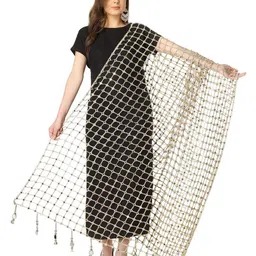 A R SILK DUPATTA HUB Embroidered Dupatta with Mirror Work-picture-20