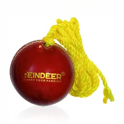HackerX Leather Hanging Cricket Ball-picture-37