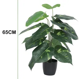 Home Bloom Green & Black Artificial Photos Plant With Pot image 3