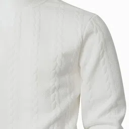 StyleCast x Revolte Long Sleeves High Neck Pullover image 4