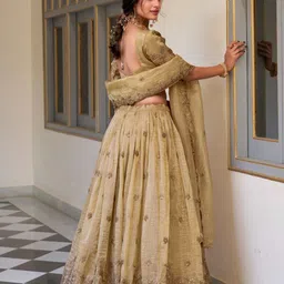 Aavisa Queency Embroidered Ready to Wear Silk Lehenga & Unstitched Blouse With Dupatta image 3