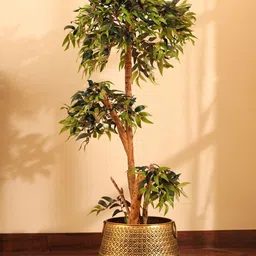 Elemntl Green Core-picture-20