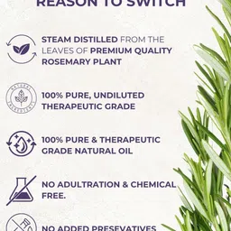 Usables ORGANIC Set Of 2 Pure Rosemary Essential Oil - 15 ml Each image 3