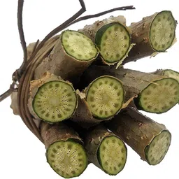 dr nutts Giloy Plant-picture-20