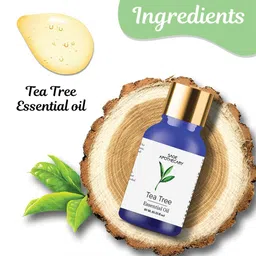 sage apothecary Tea Tree Essential Oil │100% Pure image 5