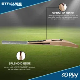 strauss Grand | Suitable for Leather Ball | Size: 4 | Kashmir Willow Cricket Bat For 15+ Yrs image 4