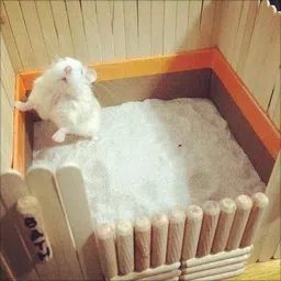 dreamauro Dust-Free Hamster Sand for Ultimate Bathing and Bedding Solution (200 grm) Pet Litter Tray Refill-picture-10