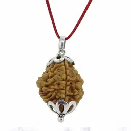astha bhakti jewellery 2 Mukhi Certified Original Pure Siddha Rudraksha Form Nepal For Men & Women Silver Wood Pendant-picture-11