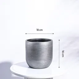 ugaoo Silver Plastic Ball Retro Medium Desk Pot image 5