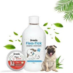 breedo Dog & Cat Flea-Tick Shampoo(250ml)+Paw Butter Moisturizing & Soft Cream(15ml)| Allergy Relief, Conditioning, Anti-fungal, Anti-microbial, Anti-itching || Paw Butter Effective to Heal, Repair, Soften, Dry, Cracked, Paws & Elbows|| Dog Shampoo-picture-11