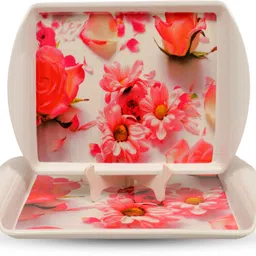 globenox GNX-546-RCT-TRY-M9-PC2 Tray-picture-17