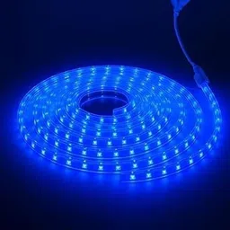 maginato 60 LEDs 5 m Blue Steady Strip Rice Lights image 4