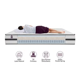 amore international Orthoplus Latex 10 Inch Pocket Spring Mattress In King Size image 5