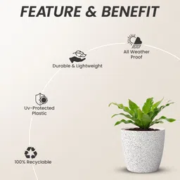 yuccabe italia SHERA Stella Flower Pots for Home Décor | 8 Inch Planter for Indoor & Outdoor Plant Container Set image 2