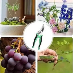 nuvexa Garden Shears, Non-Slip Scissors with Locking Handle Bypass Pruner image 3