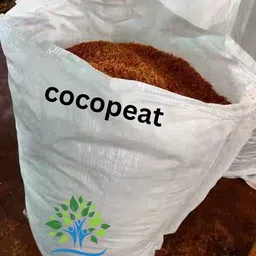 evvue Plants Soil manure COCOPEAT Powder 5kg for best Garden Plants Potting Mixture-picture-21