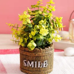 casacraft from pepperfry Yellow Polyester Artificial Jade Bonsai Plant With Brown Resin Pot image 1