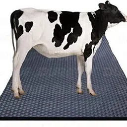 fitdex Cow mat Premium Black 24 mm Cow, Dog, Hamster, Guinea Pig, Miniature Pig Pet Mat-picture-19
