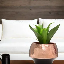 royaloak Metal Two Tone Medium Table Planter Black - Rosegold-picture-31