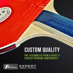 palio Master2.0 Blue, Red Table Tennis Racquet image 5