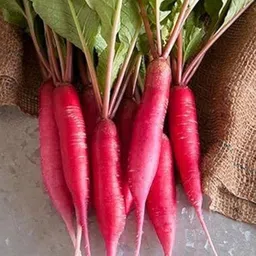 lifelex Radish Red Seeds, Muli Vegetable Seed-picture-16