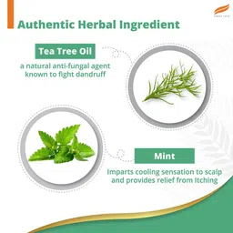 himalaya Anti-Dandruff Cooling Mint image 3