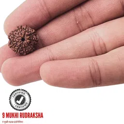 bondwal trendz Unique & Effective nine Mukhi Rudraksha 9 Faced Rudraksha For Men & Women Beads Wood Pendant image 5