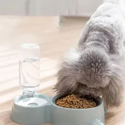 fbk empire Cat & Dog Bowl Set With Replaceable Water Bottle|Premium PP Plastic| Polypropylene, Plastic Pet Bowl & Bottle-picture-17