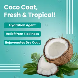 bark out loud Dog Serum (1 N x 100ml) Conditioning Fresh Dog Shampoo image 3